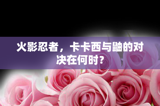 卡卡西与鼬的对决在何时图片