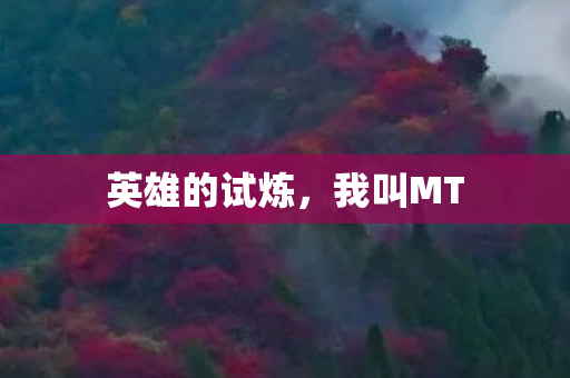 英雄的试炼图片
