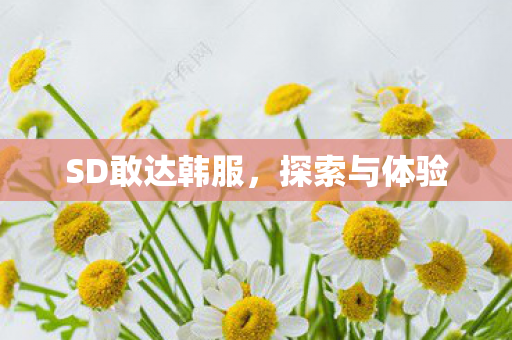 SD敢达韩服图片