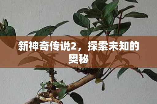 探索未知的奥秘图片