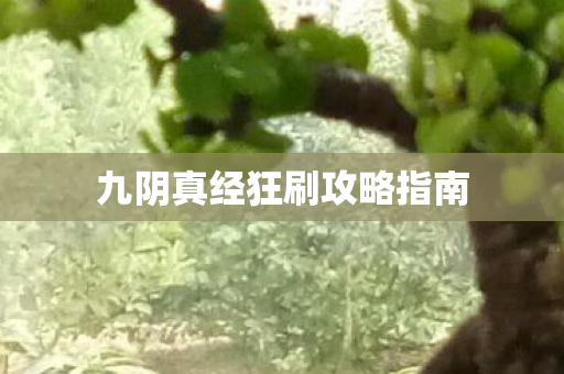 九阴真经狂刷攻略指南图片