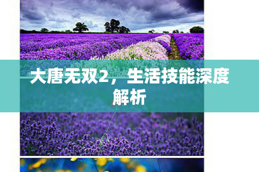 生活技能深度解析图片