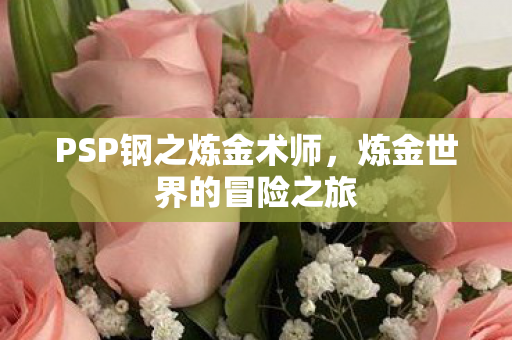 PSP钢之炼金术师图片