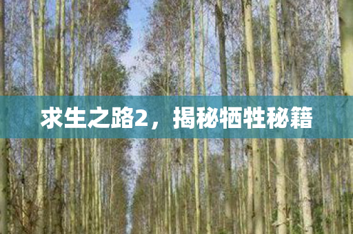 揭秘牺牲秘籍图片