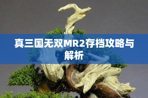 真三国无双MR2存档攻略与解析图片
