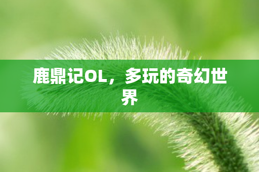 多玩的奇幻世界图片