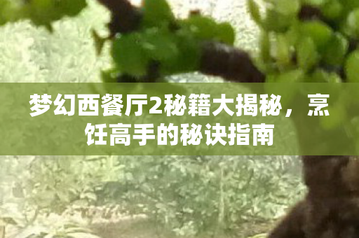 梦幻西餐厅2秘籍大揭秘图片