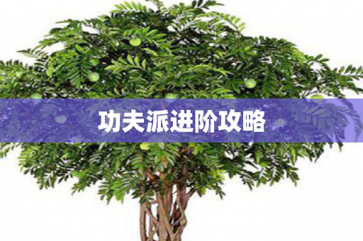 功夫派进阶攻略图片