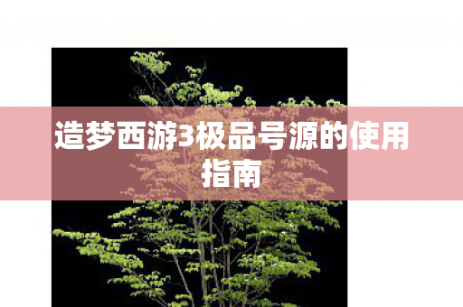 造梦西游3极品号源的使用指南图片