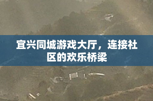 连接社区的欢乐桥梁图片