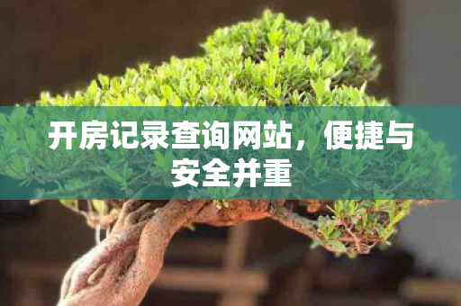 开房记录查询网站图片