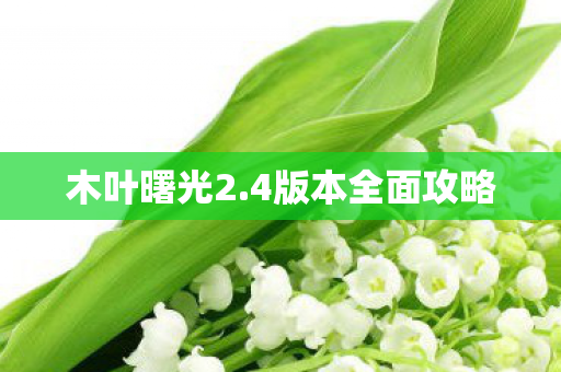4版本全面攻略图片