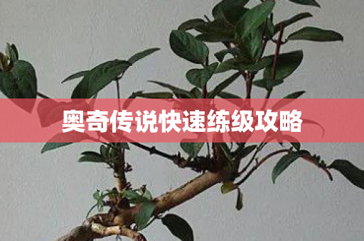 奥奇传说快速练级攻略图片