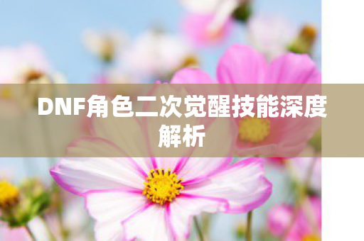 DNF角色二次觉醒技能深度解析图片