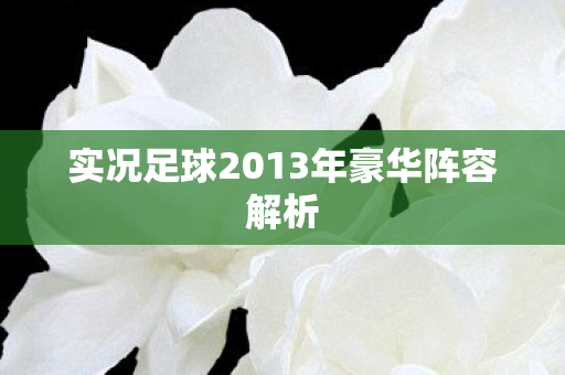实况足球2013年豪华阵容解析图片