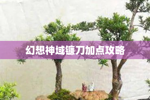 幻想神域镰刀加点攻略图片