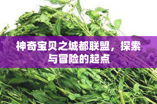 神奇宝贝之城都联盟图片