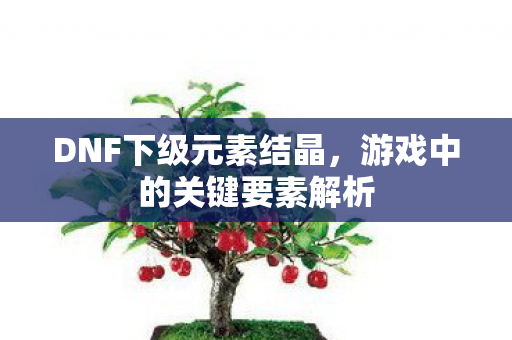游戏中的关键要素解析图片