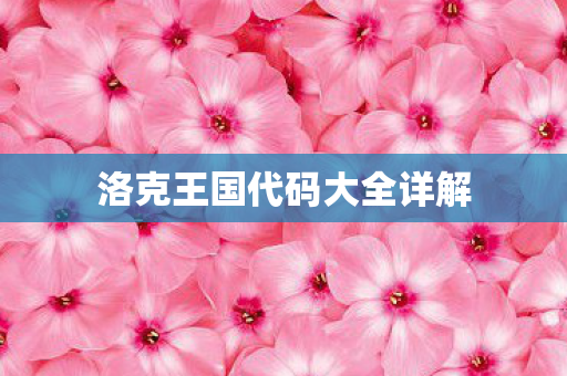 洛克王国代码大全详解图片