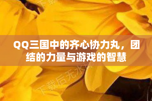 QQ三国中的齐心协力丸图片
