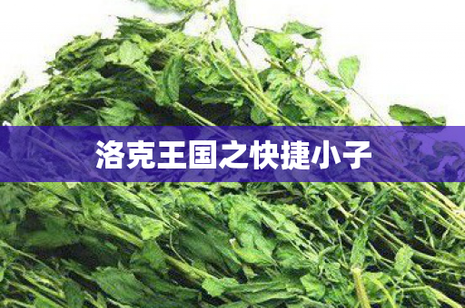 洛克王国之快捷小子图片