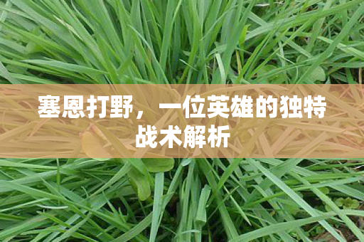 一位英雄的独特战术解析图片