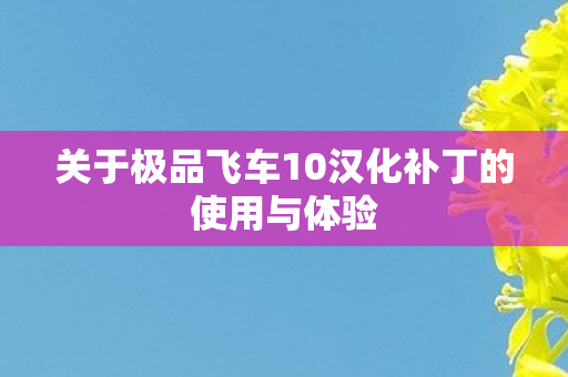 关于极品飞车10汉化补丁的使用与体验图片