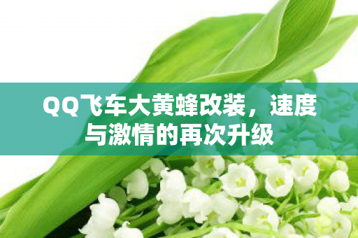 速度与激情的再次升级图片