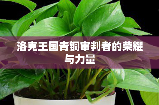 洛克王国青铜审判者的荣耀与力量图片