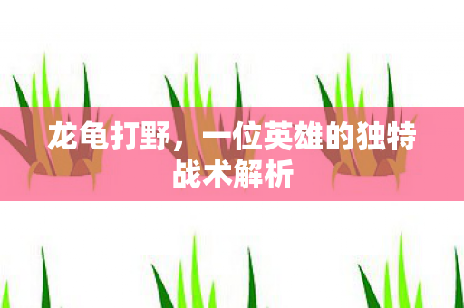 一位英雄的独特战术解析图片