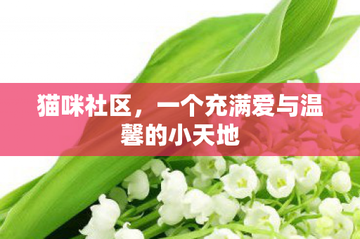 一个充满爱与温馨的小天地图片