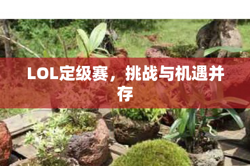 挑战与机遇并存图片