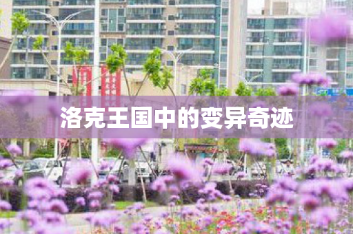 洛克王国中的变异奇迹图片