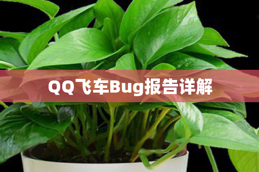 QQ飞车Bug报告详解图片
