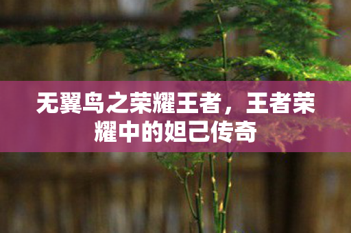 王者荣耀中的妲己传奇图片