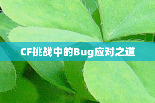 CF挑战中的Bug应对之道图片