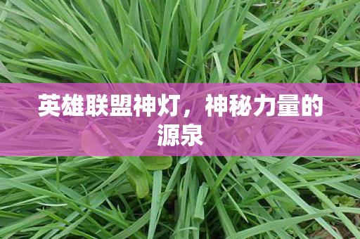 神秘力量的源泉图片