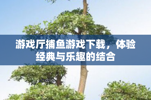 体验经典与乐趣的结合图片