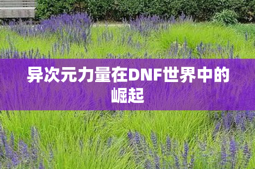 异次元力量在DNF世界中的崛起图片