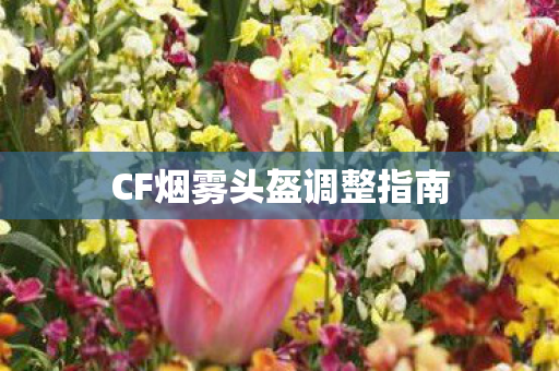 CF烟雾头盔调整指南图片