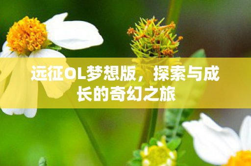 探索与成长的奇幻之旅图片