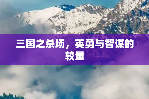 英勇与智谋的较量图片