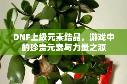 游戏中的珍贵元素与力量之源图片