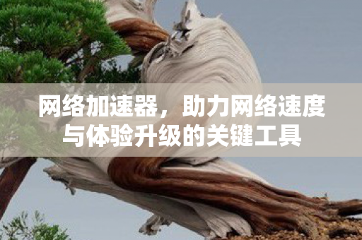 助力网络速度与体验升级的关键工具图片