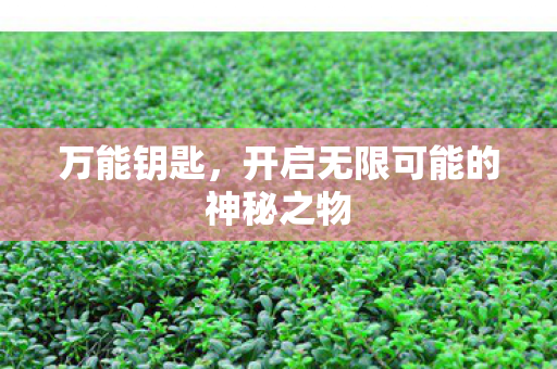 开启无限可能的神秘之物图片