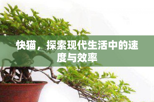 探索现代生活中的速度与效率图片
