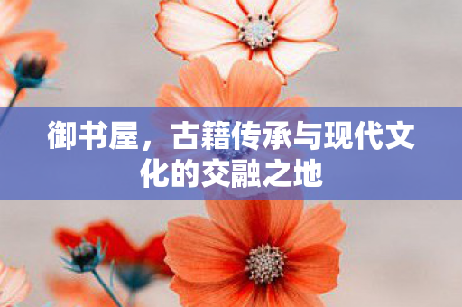 古籍传承与现代文化的交融之地图片