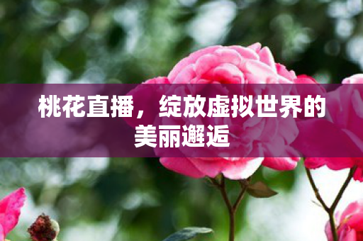 绽放虚拟世界的美丽邂逅图片