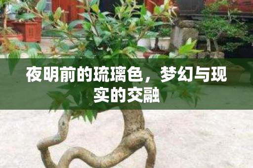 梦幻与现实的交融图片
