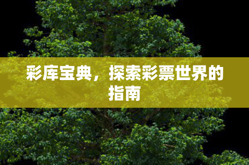 探索彩票世界的指南图片